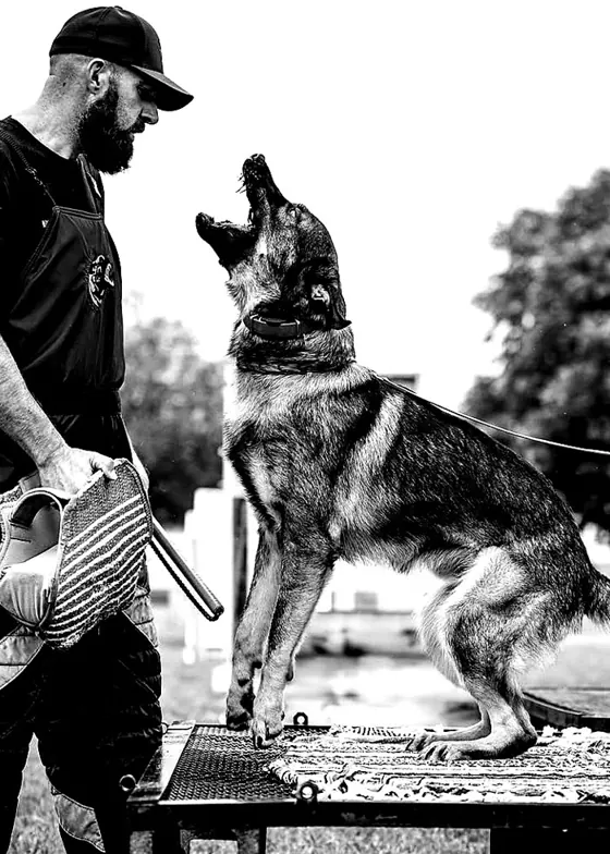 Aric Harris working a dog