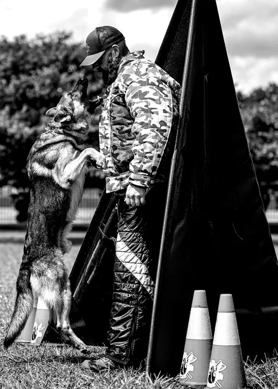 Bite work in a suit